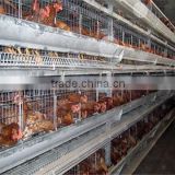 hot sale low price commercial auto water system egg laying poultry battery cage farm equipment breeding chicken cage