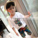 Wholesale Fashion Abstract Printing Cotton Beach Shorts for Boys