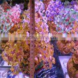 2015 Decorated Live Christmas Trees for Sale thumbnail-6