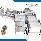 High Quality Protective Lemon Sugar Packaging Line