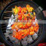 Apt Exim Coco Shell Charcoal Briquettes From India