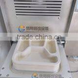 Industrial Fengxiang Vertical Fast Food Packaging Machinery thumbnail-4