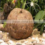 Breast Firming Enhancement Pills Pueraria Mirifica Capsules 1000 Grains thumbnail-2