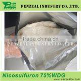 Nicosulfuron 4%OF 75%WDG 95% TC, Herbicide 111991-09-4 thumbnail-3