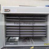 Solar Eggs Incubator Cheap Chicken Incubator WQ-4224 Poultry Farming thumbnail-1