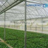 Agricultural Plastic Film Greenhouse With Arch Roof thumbnail-2