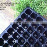 High Quality Vegetable Plastic Nursery Seedling Tray Black Plastic Plant Seed Growing Tray thumbnail-6