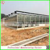 China Venlo Polycarbonate Sheet Greenhouse With Vegetable Seeds thumbnail-3