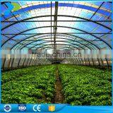 Polycarbonate Greenhouse for Plants Flower Vegetables