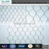 Hexagonal Hole Shape and Galvanized Iron Wire Material Hexagonal Wire Mesh thumbnail-3