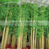 SJLJ013211 Artificial Tree and Plant / Fake Plastic Bamboo Plant for Home / Garden Decoration thumbnail-1