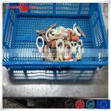 IQF Seafood Mixed Frozen thumbnail-2