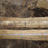 Water Reed Thatch for Roof Thatching, Sweetwater thumbnail-5