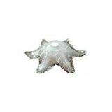 Lamp Cover thumbnail-1