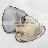 2017 New Fashion Jewelry Freshwater Cultured Pearl Oyster Potato Mixed Colors thumbnail-5