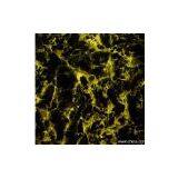 Sell Color Coated Aluminum Coil thumbnail-1