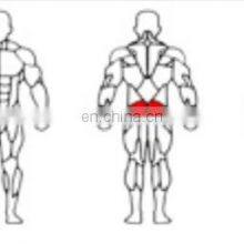 Professional Fitness Equipment Gym Wholesale Super ASJ-A018 Glute Machine Hip Trainer Machine thumbnail-4