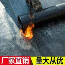 SBS Waterproofing Membrane thumbnail-4