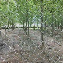 Hot-dip Galvanized Steel Wire Mesh, Animal Fence thumbnail-5