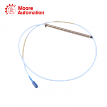 Bently Nevada 330103-00-16-10-12-05 thumbnail-3