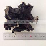 Dried White Back Black Tree Fungus Strips