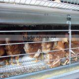 Chicken Farm Building Broiler Poultry Farm House Design Chicken Breeding Cage for Kenya Farms House thumbnail-2