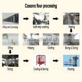 Home Small Scale Sweet Potato Flour Processing Line thumbnail-5