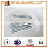 Stainless Steel Concrete Nail thumbnail-4