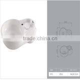 Dental Products thumbnail-1