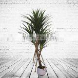 Fake Decorative Tree With 3 Branches thumbnail-3
