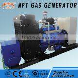 AC Three Phase Output Type biogas electric generator