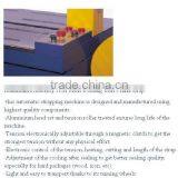 Standard Price of Carton Box Packing Machine thumbnail-2