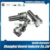 DIN7984 Titanium Screw For Bike