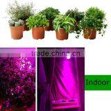 Factory Price AC85-265V E27 12W LED Grow Light thumbnail-6