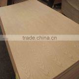 Natural Anaglyph Chinese Ash Plywood for Furniture
