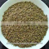 Cumin 99% Pure thumbnail-2