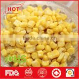 Frozen vegetables of sweet corn kernels