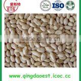 Shandong Nut Snacks Blanched Peanut With High Quality thumbnail-6