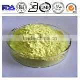 100% Natrual high quality competitive Price Sophora Japonica Extract Rutin 95% 98% NF11 DAB10