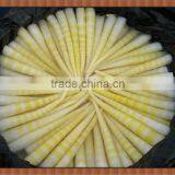 chinese Sichuan Bamboo Shoot