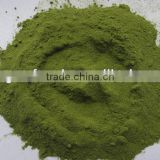 supply dry spinach powder
