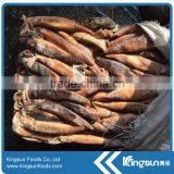 Frozen Argentinus Argentina Illex Squid Exporter thumbnail-4