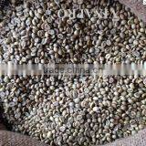 MANUFACTURER VIETNAM WET POLISHED ROBUSTA COFFEE S18 (+841657106604 - WHATSAPP) thumbnail-6