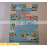 Factory Price Supplier Japanese Plastic File Folder