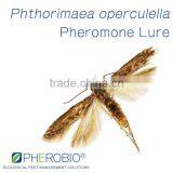 Pheromone Lure for Phthorimaea Operculella, Pheromone Attractant & Pheromone Trap for Phthorimaea Operculella thumbnail-1