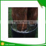 165cm Artificial Dracaena Fragrans Plants Wholesale thumbnail-4