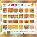 China Corn Milling Machine for Maize Peeling and Grit Making Machine for Corn Flour thumbnail-6