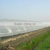 RoughBrothers Tunnel-600 Single Span Low Cost Agricultural Tunnel Greenhouse thumbnail-2