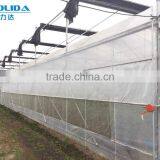 Baolida Multi-span Greenhouse PE Film Green House Used Greenhouse for Tomato thumbnail-2