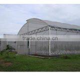 Multi-Span Greenhouse With Green House Roof Ventilation thumbnail-5